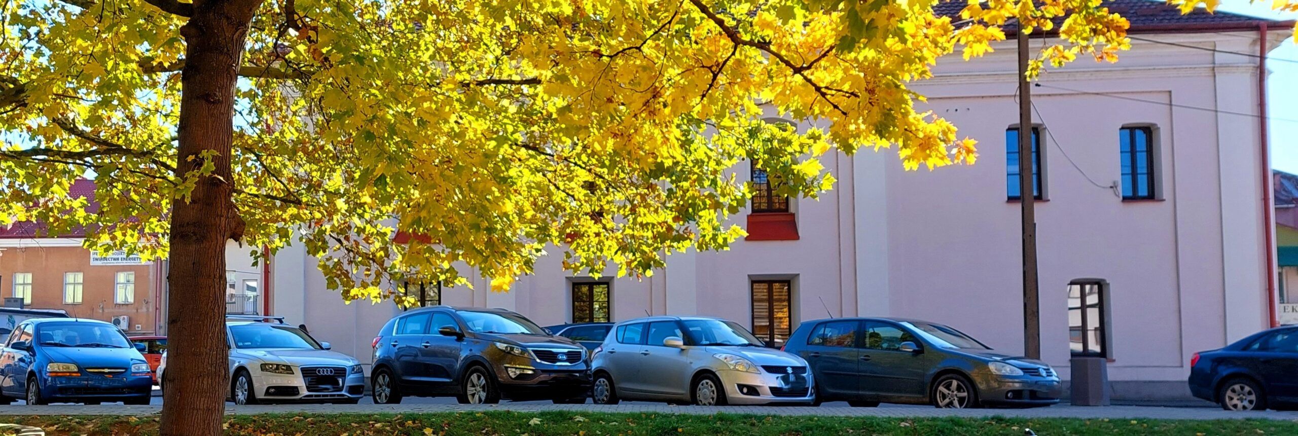 Widok na bibliotekę